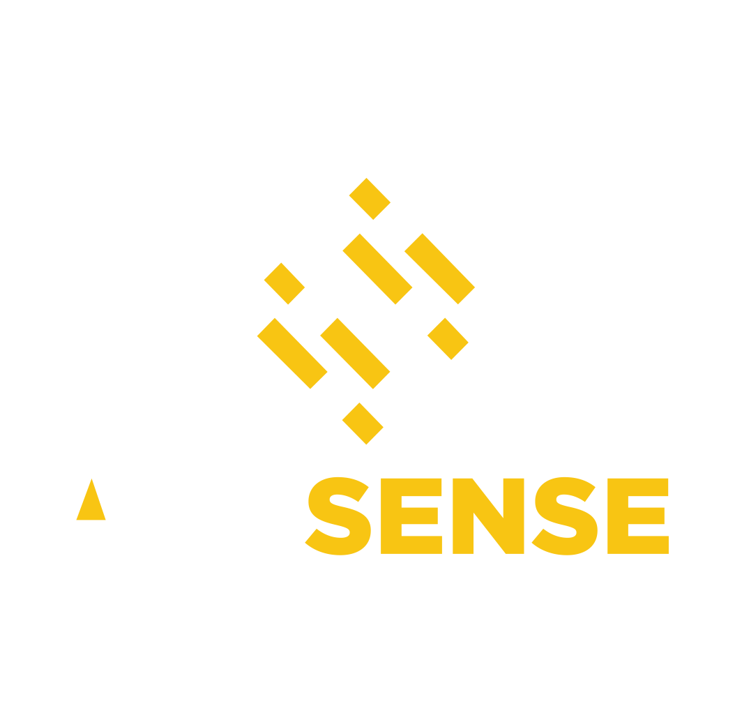 AddSense Onderzoek en Advies voor de publieke sector Mark van Dam